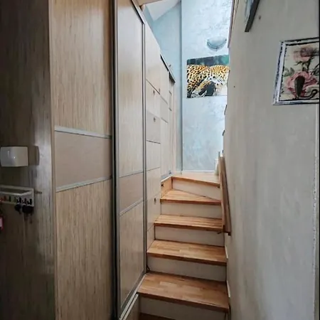 Fruska View Apartment